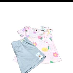 Garanimals Infant Baby Girl 18 Months 2 Piece Summer Set  Strawberry Cherry